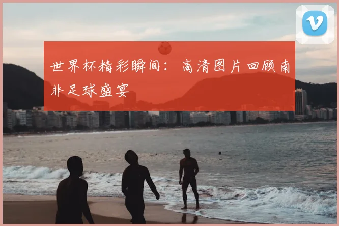 世界杯精彩瞬间：高清图片回顾南非足球盛宴