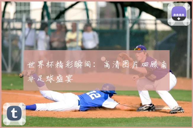 世界杯精彩瞬间：高清图片回顾南非足球盛宴